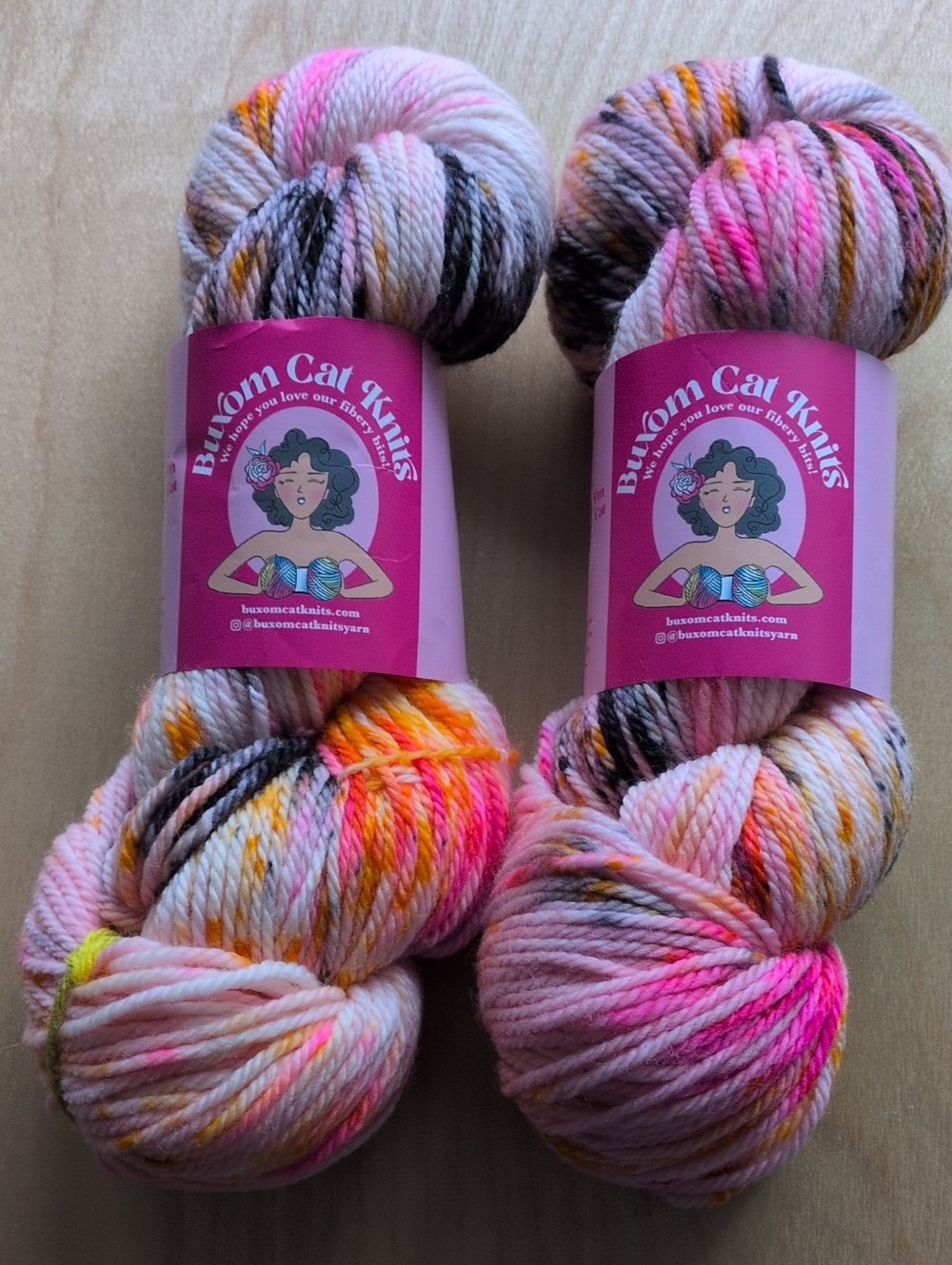 Buxom Cat Knits 2 skeins Hand-Dyed Yarn - Fluffy Worsted 3 Ply-Dana's Destash